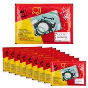 Savita Full Engine Packing Kit Pack of 10 Durable for TVS Phoenix 125