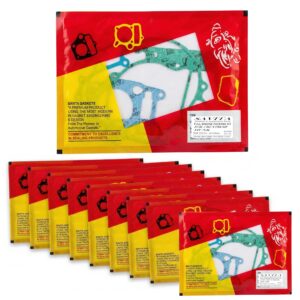 Savita Full Engine Packing Kit Pack of 10 for Hero CBZ Xtreme and Hunk