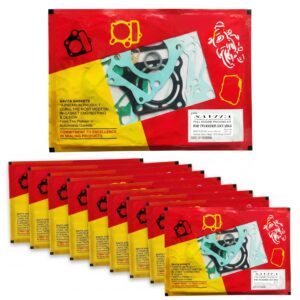Savita Full Engine Packing Kit Premium for TVS Raider 125 3-Valve Pack of 10
