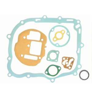 Savita Full Engine Packing Kit Premium for TVS Raider 125 3-Valve Pack of 10