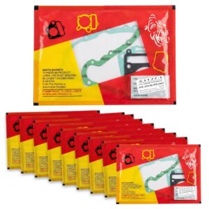 Savita Full Packing Gasket Kit Durable for TVS Apache RTR 200 4V Pack of 10